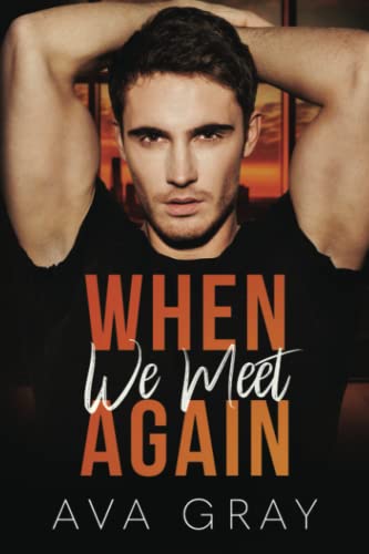 When we meet Again book cover