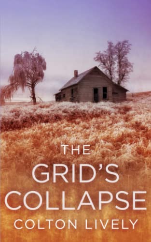 The Grid's Collapse (By: Colton Lively) cover