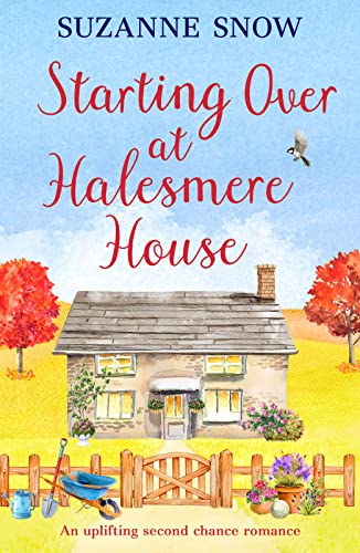 Starting Over at Halesmere House book cover