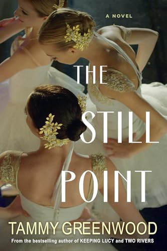 The Still Point book cover