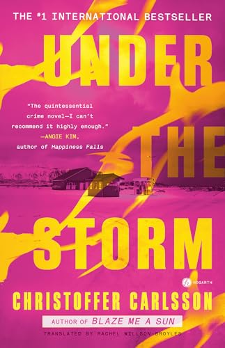 Under the Storm book cover