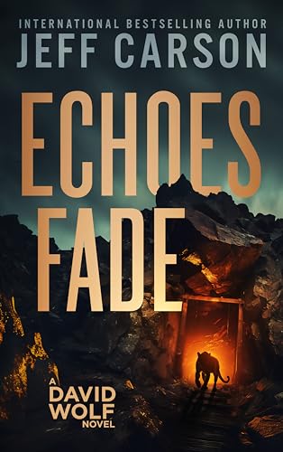 Echoes Fade book cover