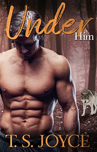 Under Him book cover