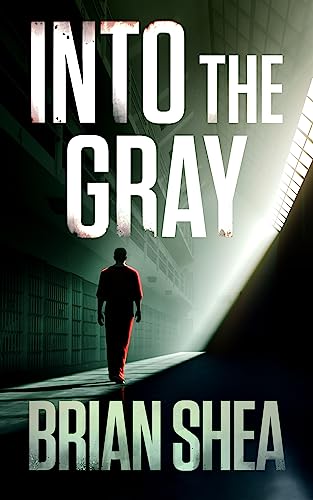 Into the Gray book cover