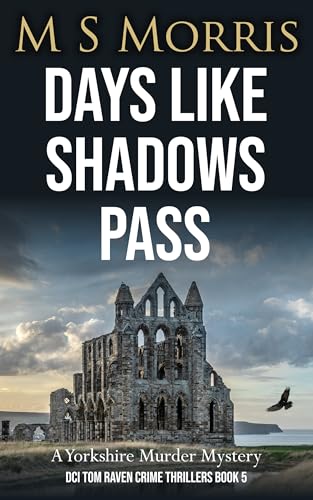 Days Like Shadows Pass book cover
