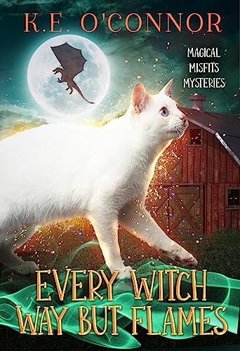 Every Witch Way but Flames book cover