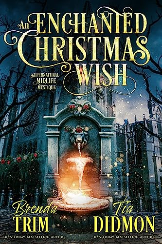 An Enchanted Christmas Wish book cover