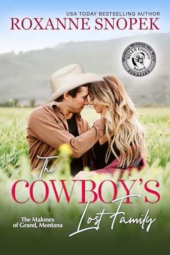 The Cowboy’s Lost Family cover
