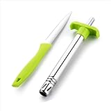 Ganesh Stainless Steel Kitchen Gas Lighter with Free Kitchen Knife