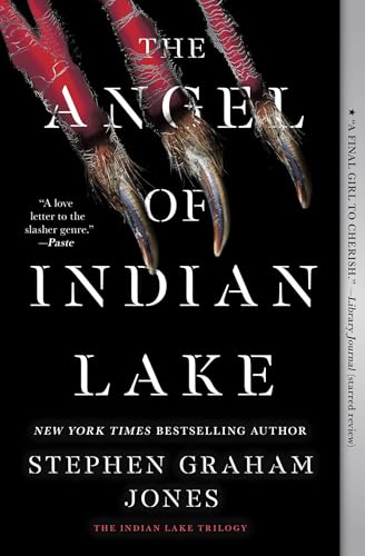 The Angel of Indian Lake book cover