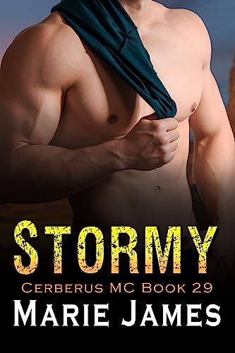 Stormy book cover