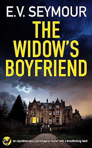 The Widow's Boyfriend book cover