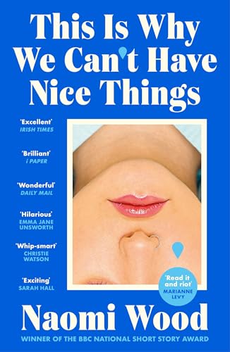This Is Why We Can't Have Nice Things book cover