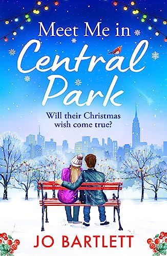 Meet Me In Central Park book cover