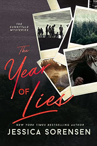 The Year of Lies book cover