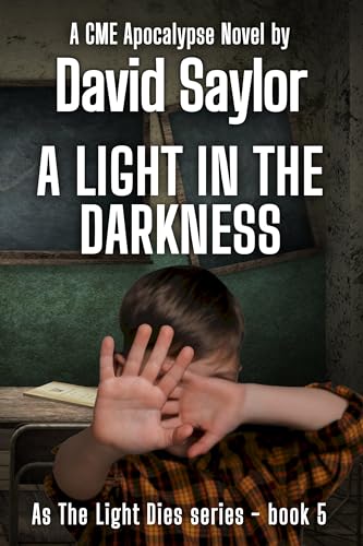 A Light In The Darkness book cover