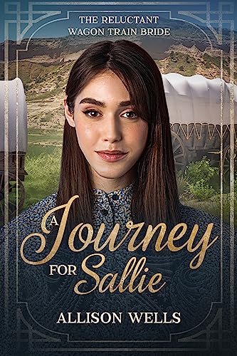 A Journey for Sallie book cover