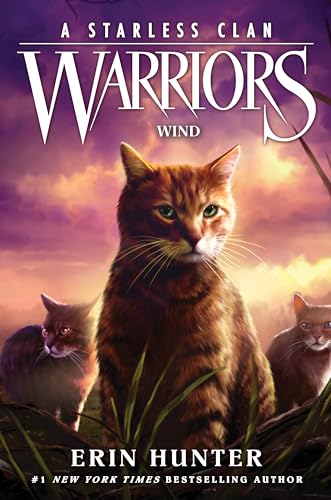 Wind book cover