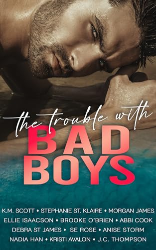 The Trouble With Bad Boys book cover