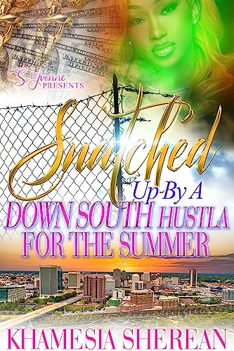Snatched Up By A Down South Hustla For The Summer book cover