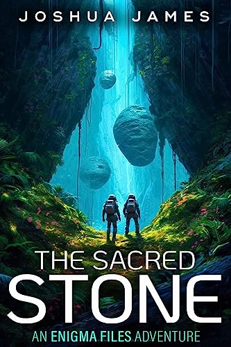 The Sacred Stone book cover