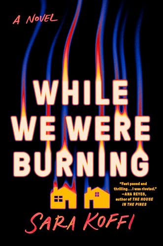 While We Were Burning book cover