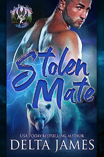 Stolen Mate book cover