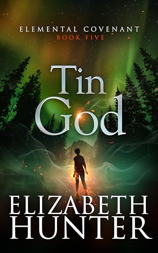 Tin God book cover