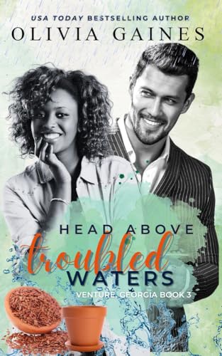 Head Above Troubled Waters book cover