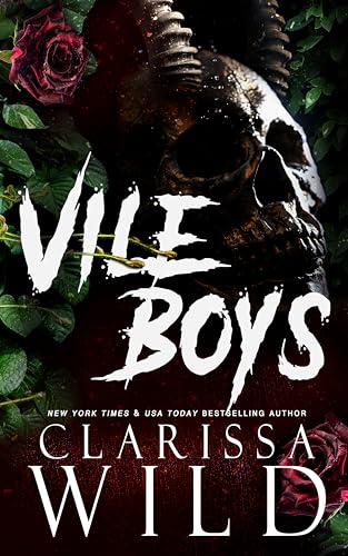 Vile Boys book cover