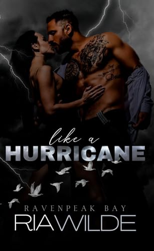 Like a Hurricane book cover