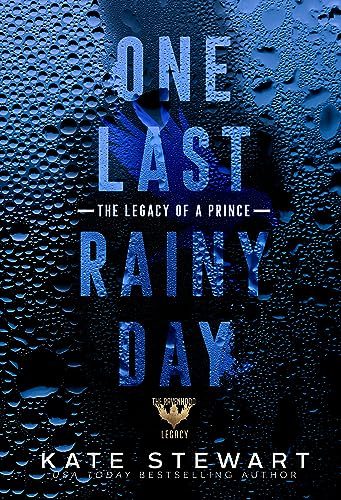 One Last Rainy Day book cover
