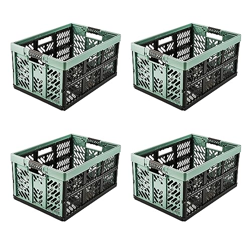 keeeper ben Profi-Klappboxen, 4er-Set, 45 l, Nordic Green