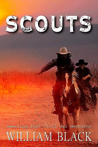 Scouts book cover