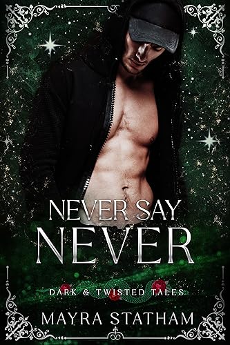 Never Say Never book cover