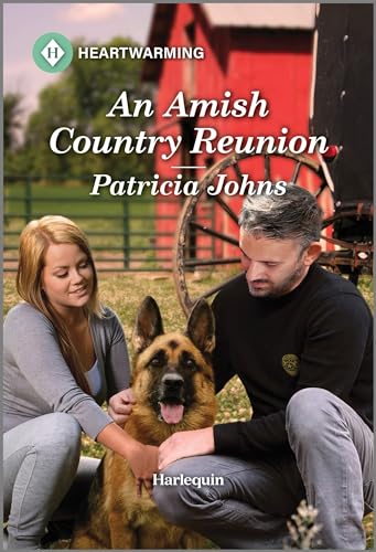An Amish Country Reunion book cover