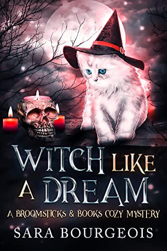 Witch Like a Dream book cover