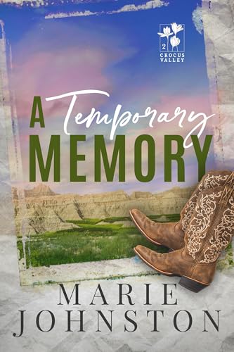 A Temporary Memory book cover
