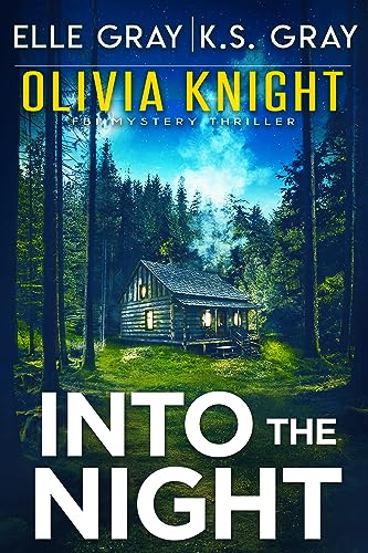 Into the Night book cover