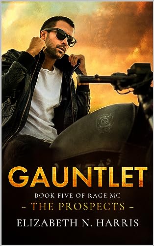 Gauntlet book cover