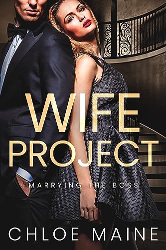 Wife Project book cover