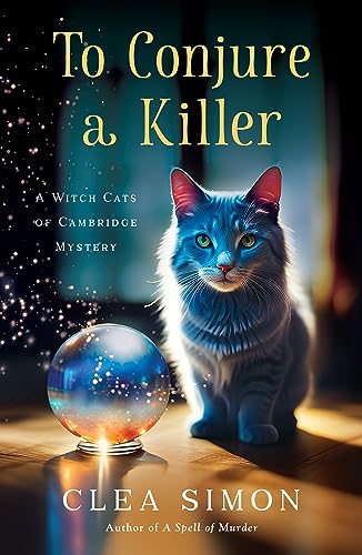 To Conjure a Killer book cover