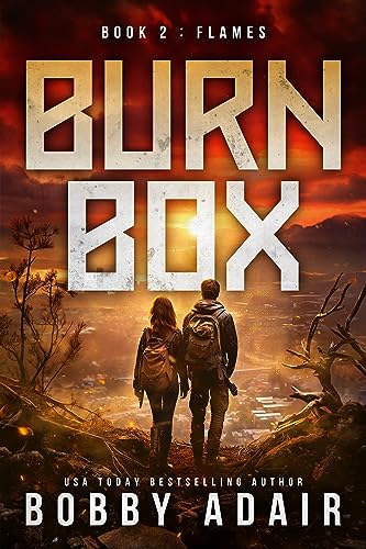 Flames book cover