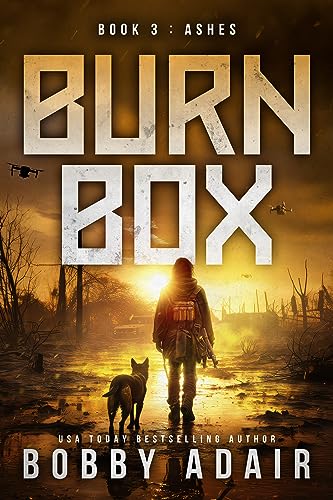 Ashes book cover