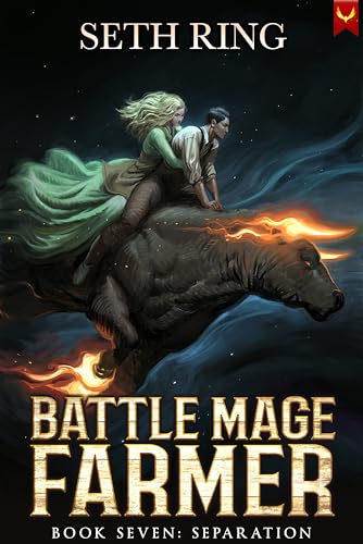 Separation book cover