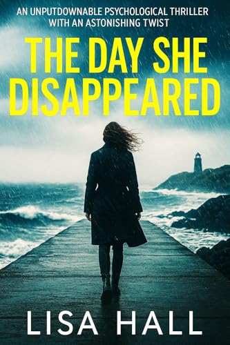 The Day She Disappeared book cover