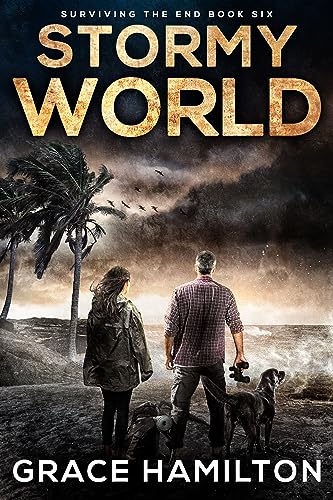 Stormy World cover