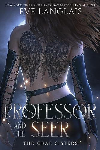 Professor and the Seer cover