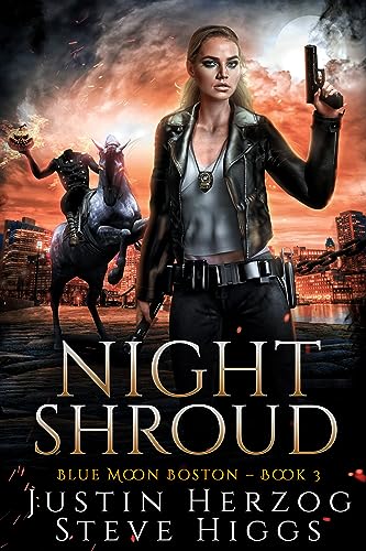 Night Shroud book cover