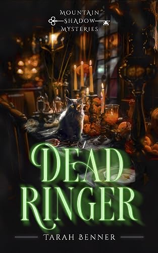 Dead Ringer book cover